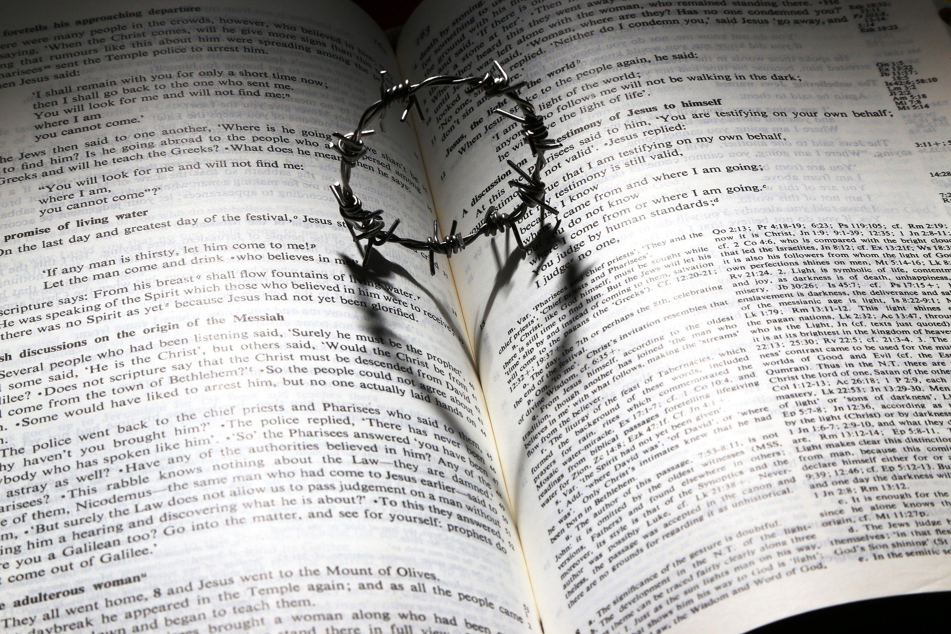 Crown of Thorns on a Bible